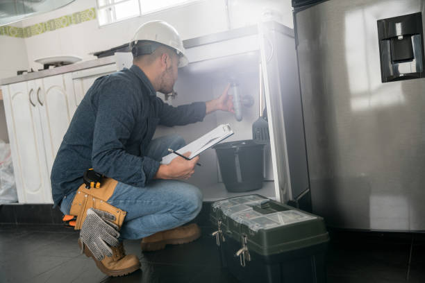 Best Commercial Plumbing Services  in Clara City, MN