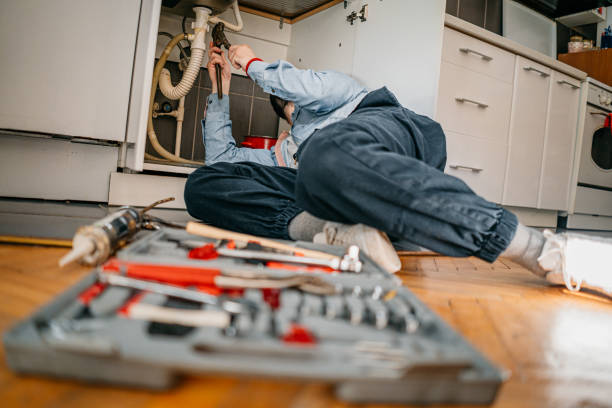 Best Affordable Plumber Near Me  in Clara City, MN