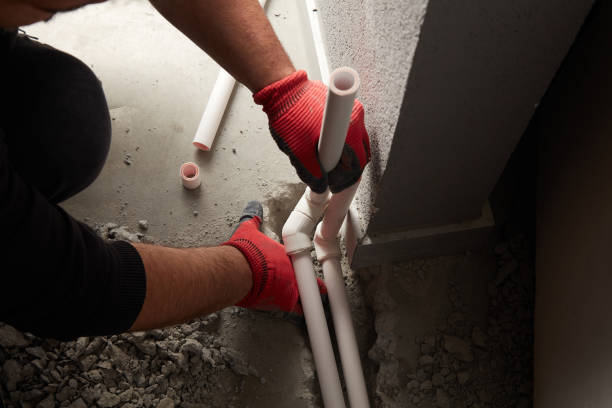 Best 24-Hour Plumber Near Me  in Clara City, MN