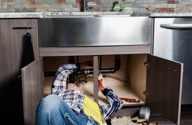 Best Plumbing Inspection Services  in Clara City, MN