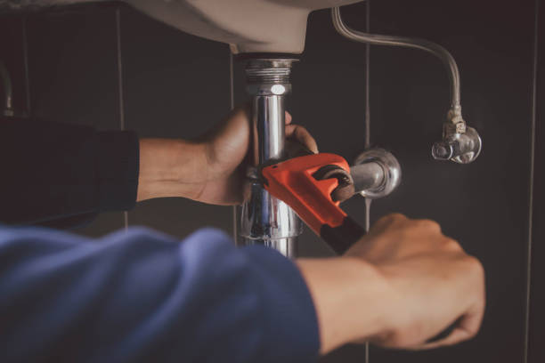 Best Plumbing Services Near Me  in Clara City, MN